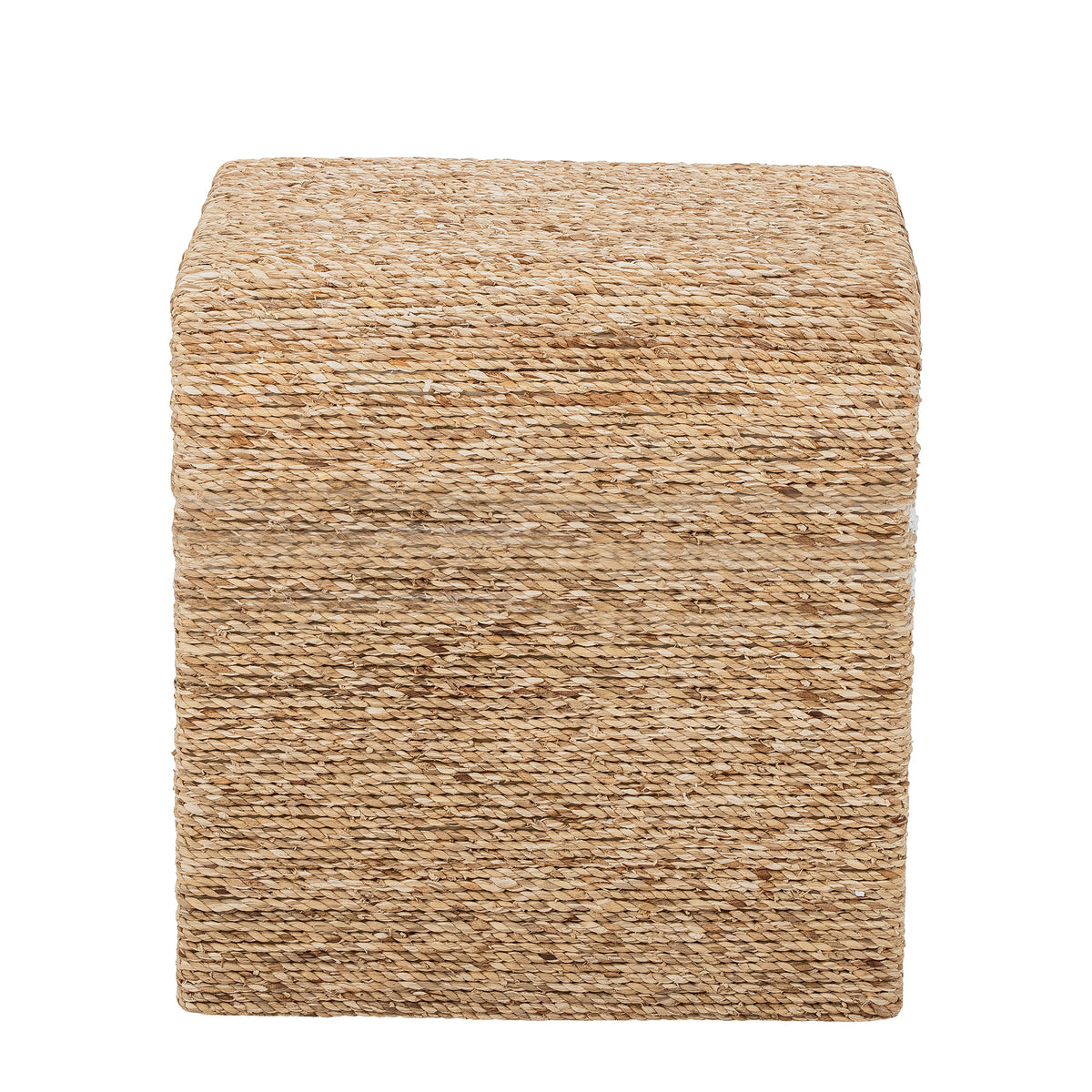 Kien Hocker – Natur, Wasserhyazinthe