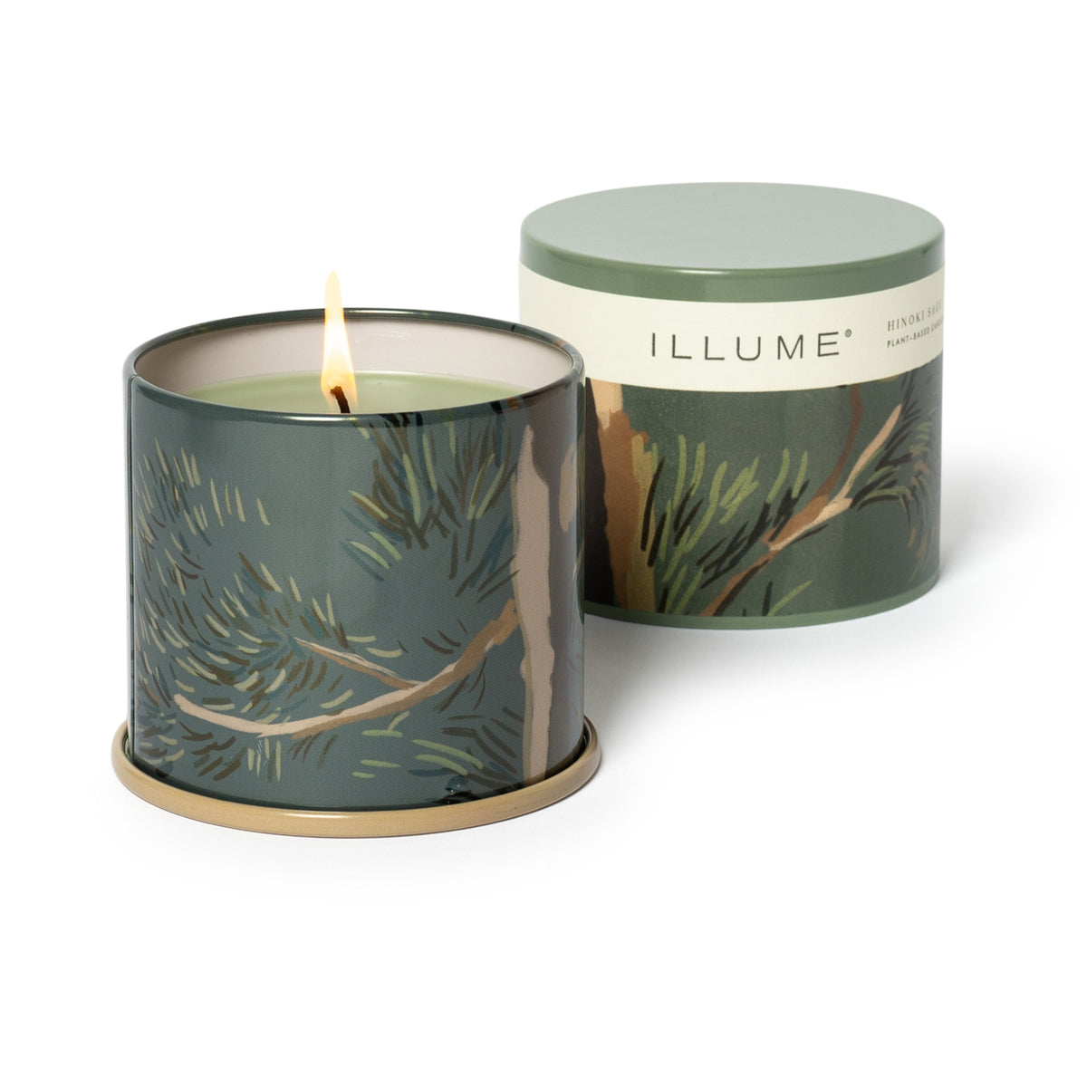 Hinoki Sage Duftkerze – Grün